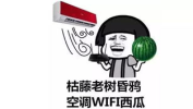 爆炸网今日吃瓜最新消息,今日吃瓜热点，揭秘娱乐圈最新动态！